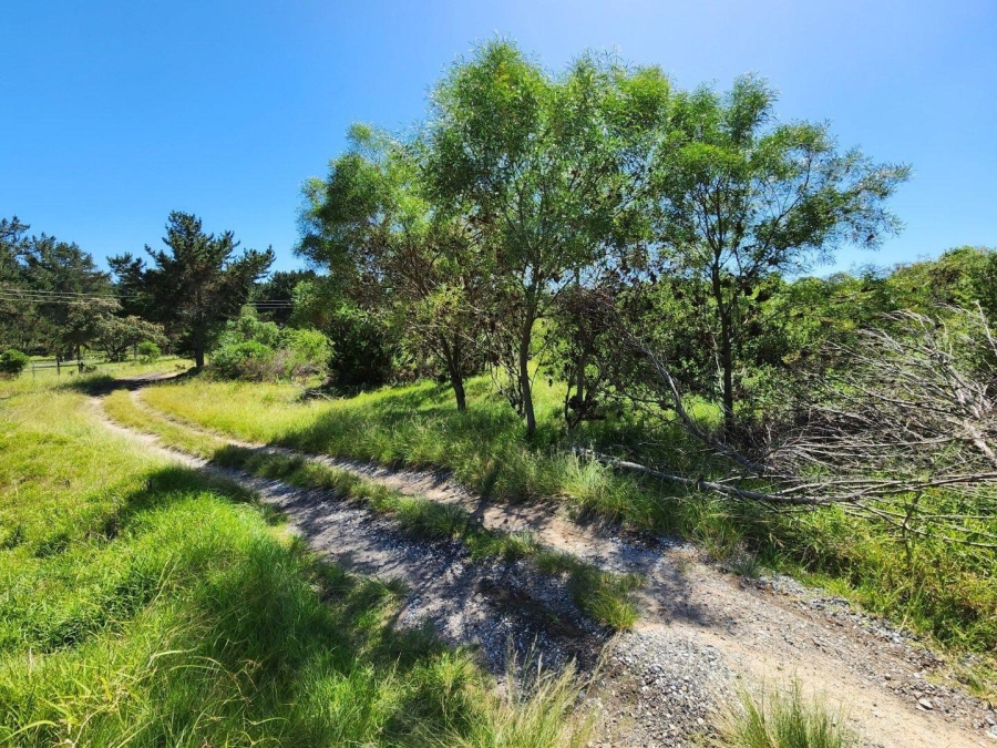 0 Bedroom Property for Sale in Langvlei Dunes Western Cape